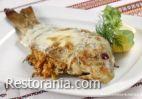 Fish dishes : Carp in cream sauce