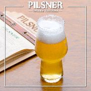 «Ципа Біла» та інші крафтові цікавинки у «Pilsner чеська господа»!